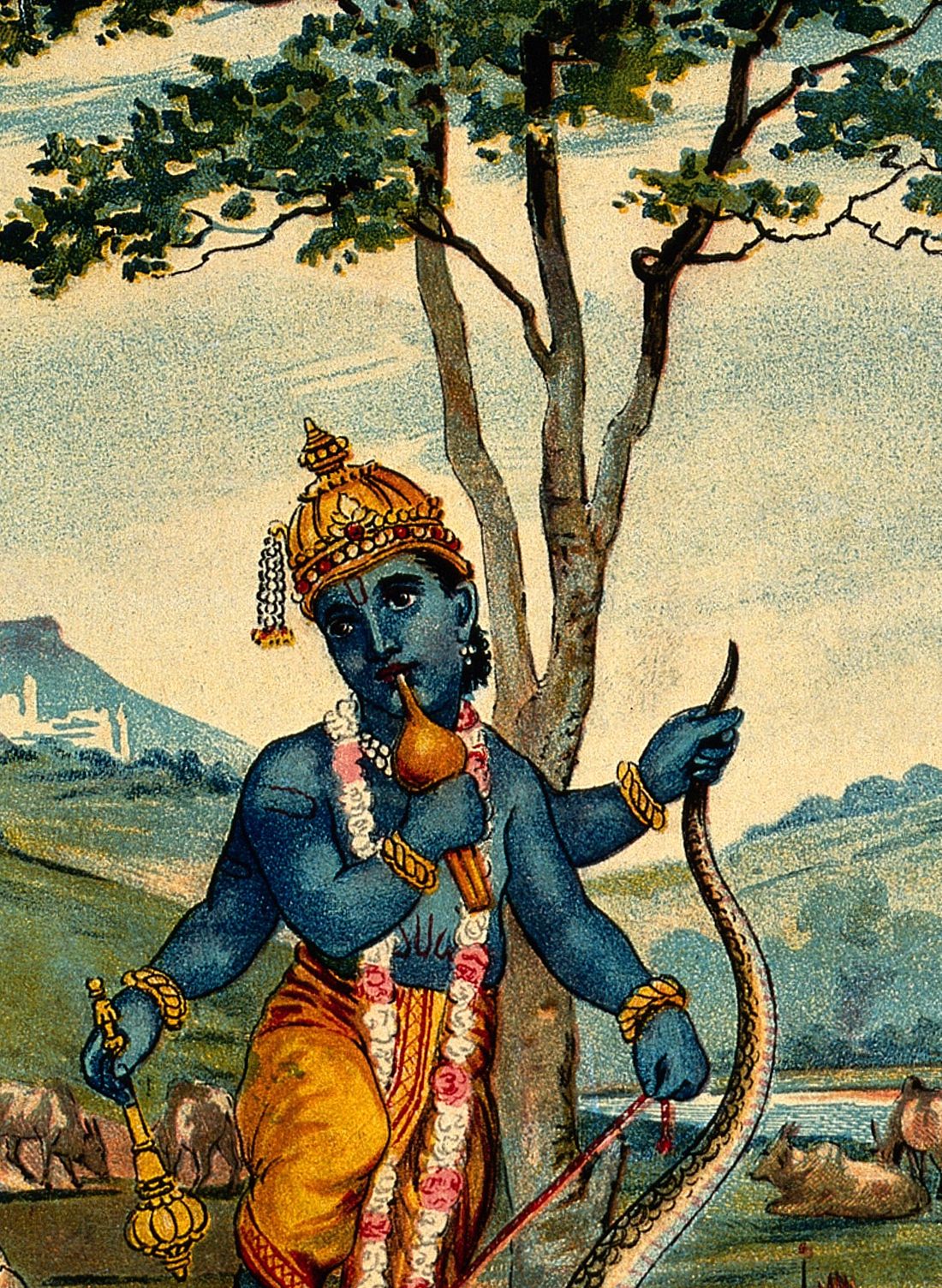 Lord Krishna